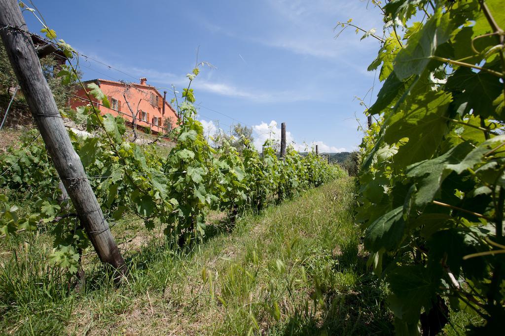 Agriturismo La Burlanda Fosdinovo Exteriér fotografie